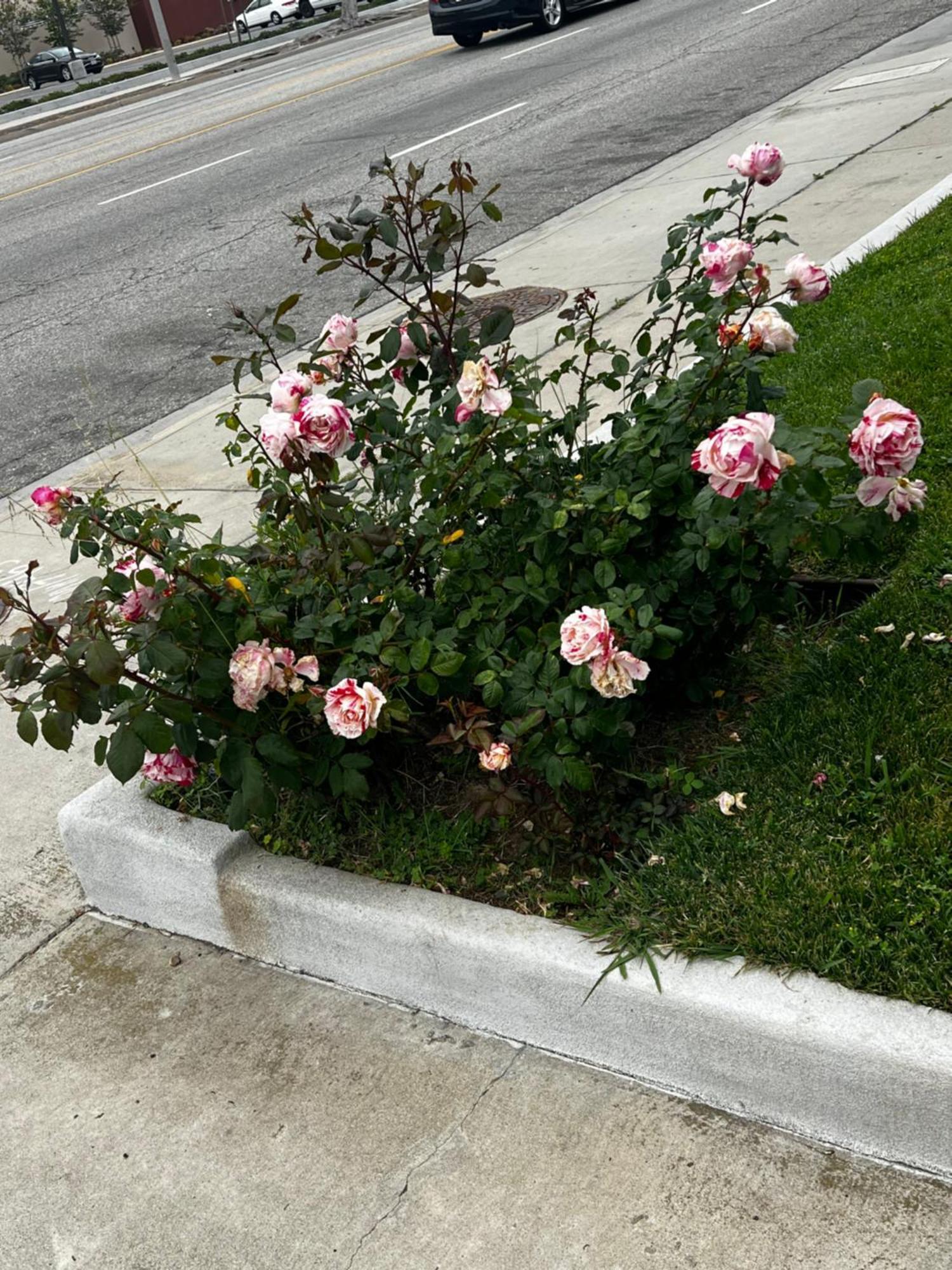 El Segundo Inn 호손 외부 사진